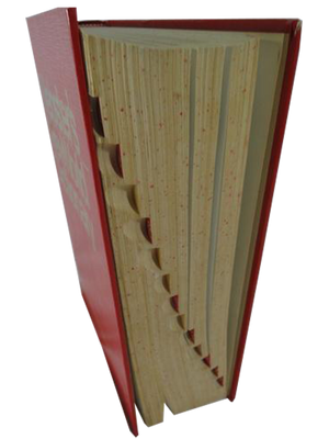 Webster's New World Dictionary (SKU 000208-14)