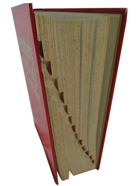 Webster's New World Dictionary (SKU 000208-14)
